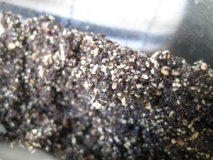 Dough should just stick together out of the food processor